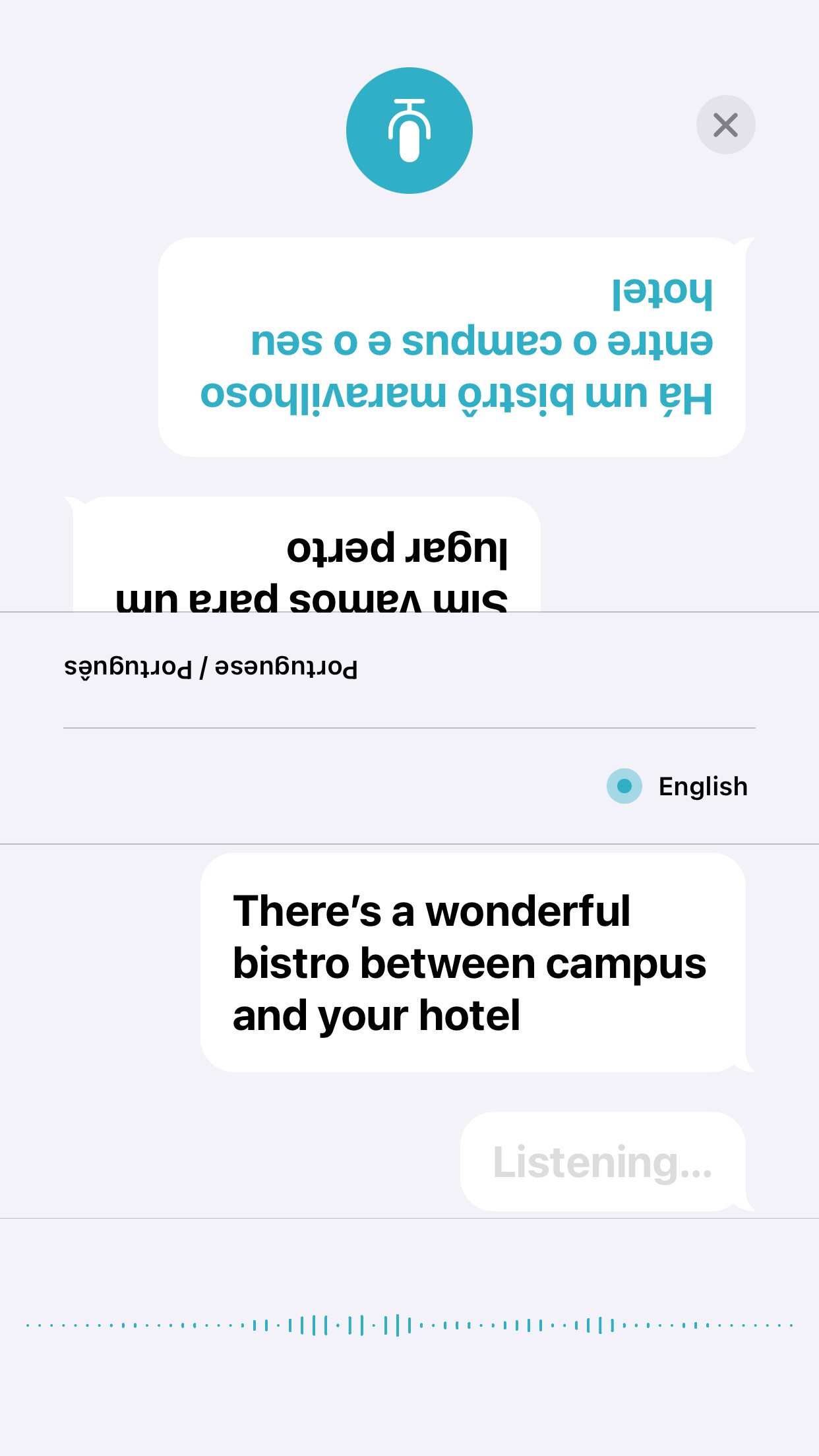 Apple Translate screenshot 5