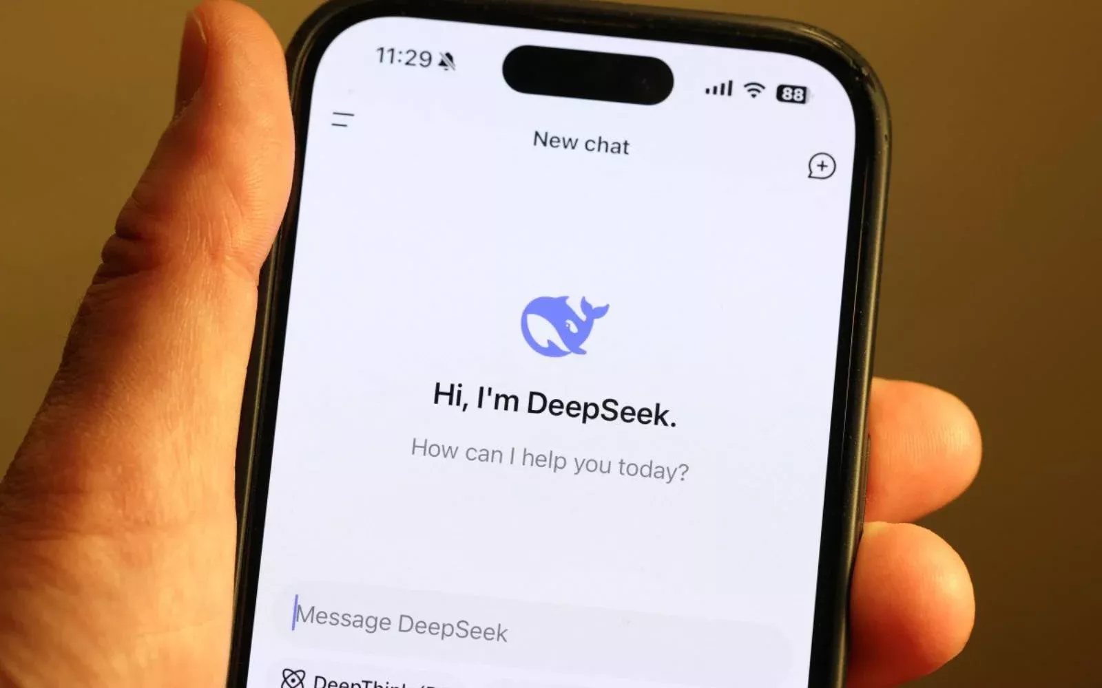 DeepSeek screenshot 7