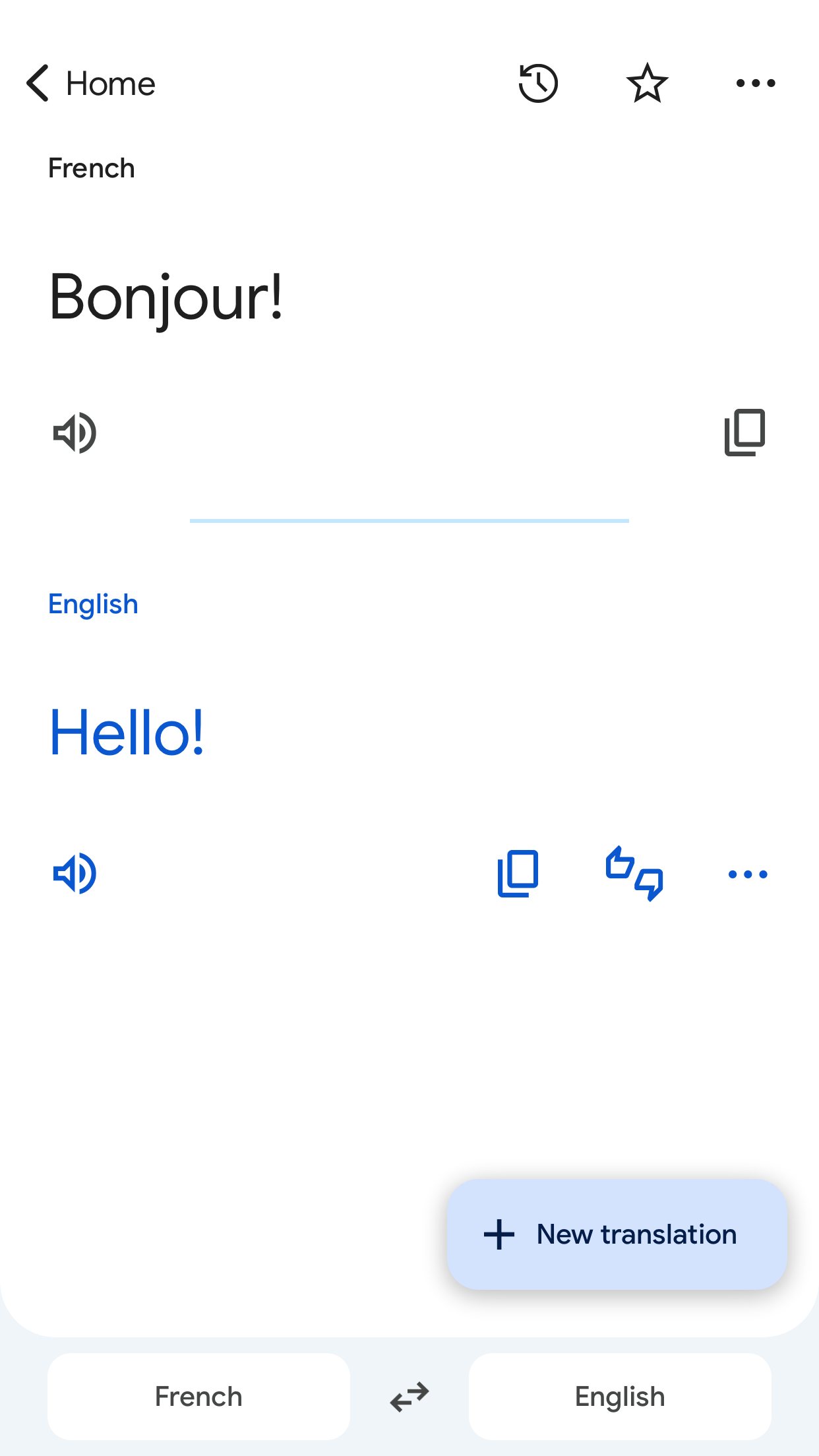 Google Translate screenshot 5