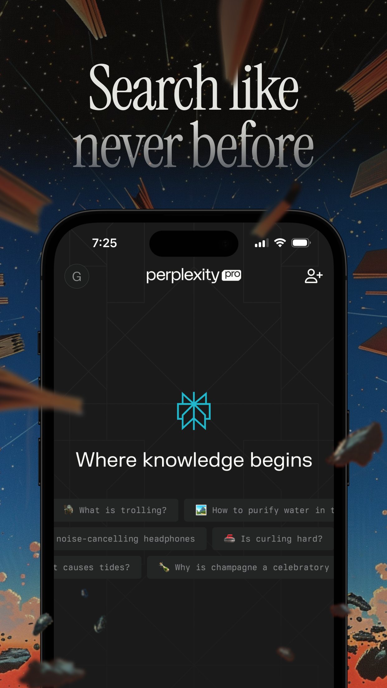 Perplexity screenshot 1